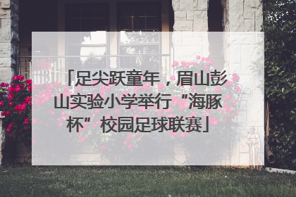 足尖跃童年，眉山彭山实验小学举行“海豚杯”校园足球联赛
