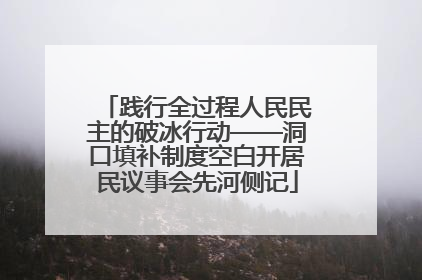 践行全过程人民民主的破冰行动——洞口填补制度空白开居民议事会先河侧记
