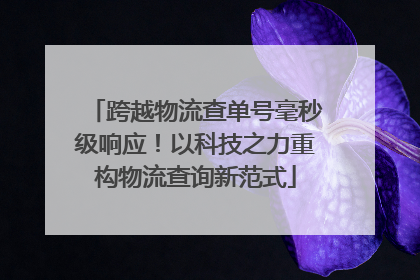 跨越物流查单号毫秒级响应！以科技之力重构物流查询新范式
