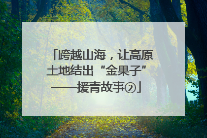 跨越山海，让高原土地结出“金果子”——援青故事②