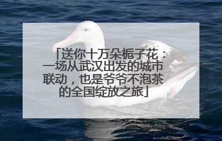 送你十万朵栀子花：一场从武汉出发的城市联动，也是爷爷不泡茶的全国绽放之旅