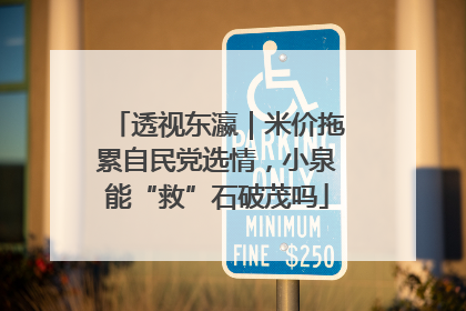 透视东瀛｜米价拖累自民党选情，小泉能“救”石破茂吗