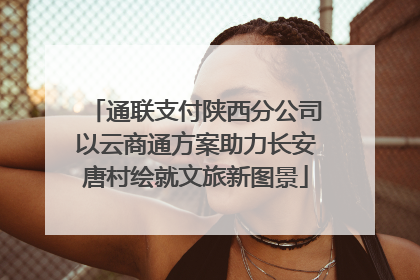 通联支付陕西分公司以云商通方案助力长安唐村绘就文旅新图景