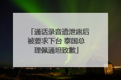 通话录音遭泄露后被要求下台 泰国总理佩通坦致歉