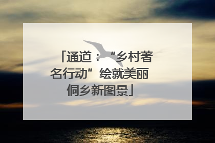 通道：“乡村著名行动”绘就美丽侗乡新图景