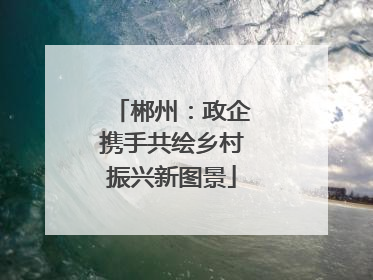郴州：政企携手共绘乡村振兴新图景