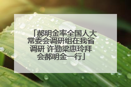 郝明金率全国人大常委会调研组在我省调研 许勤梁惠玲拜会郝明金一行