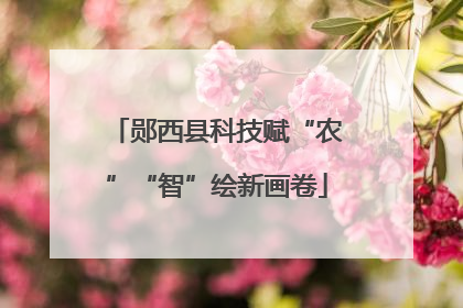 郧西县科技赋“农”“智”绘新画卷