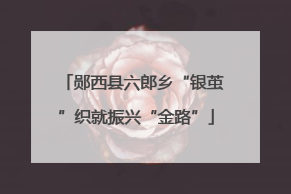 郧西县六郎乡“银茧”织就振兴“金路”