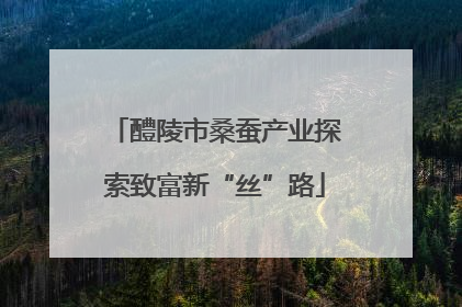 醴陵市桑蚕产业探索致富新“丝”路
