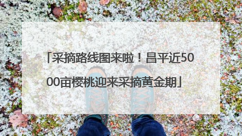 采摘路线图来啦！昌平近5000亩樱桃迎来采摘黄金期