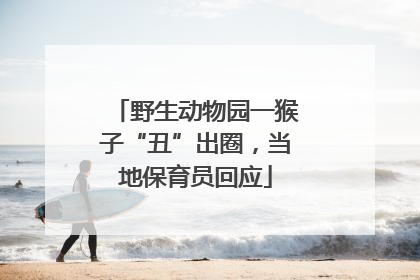 野生动物园一猴子“丑”出圈，当地保育员回应