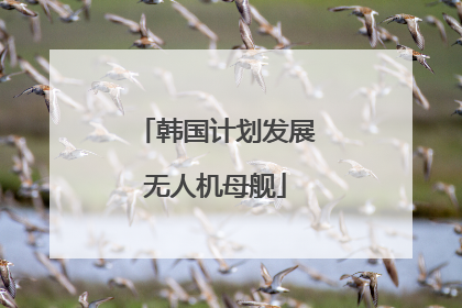 韩国计划发展无人机母舰