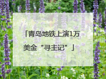 青岛地铁上演1万美金“寻主记”