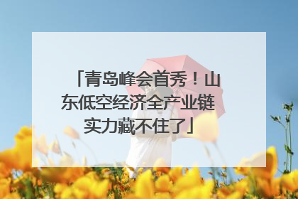 青岛峰会首秀！山东低空经济全产业链实力藏不住了