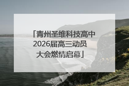 青州圣维科技高中2026届高三动员大会燃情启幕