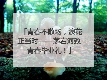 青春不散场，浪花正当时——茅岩河致青春毕业礼！