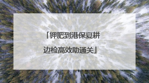 钾肥到港保夏耕 边检高效助通关