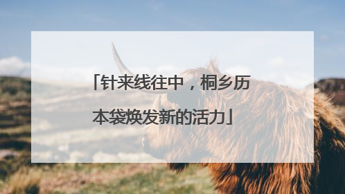 针来线往中，桐乡历本袋焕发新的活力
