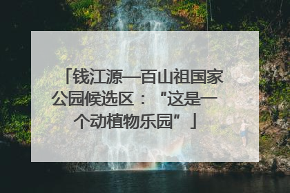 钱江源—百山祖国家公园候选区：“这是一个动植物乐园”