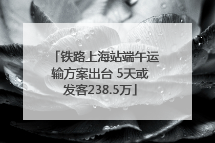 铁路上海站端午运输方案出台 5天或发客238.5万