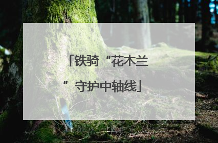铁骑“花木兰”守护中轴线