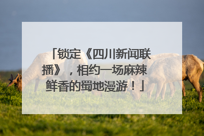 锁定《四川新闻联播》，相约一场麻辣鲜香的蜀地漫游！