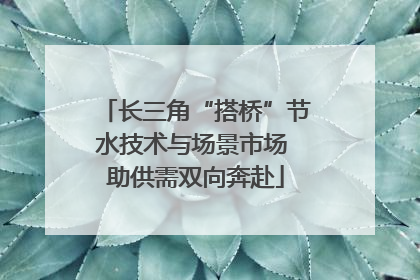 长三角“搭桥”节水技术与场景市场 助供需双向奔赴