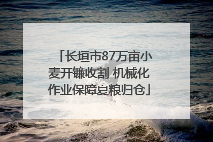 长垣市87万亩小麦开镰收割 机械化作业保障夏粮归仓