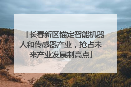 长春新区锚定智能机器人和传感器产业，抢占未来产业发展制高点