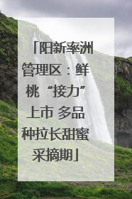阳新率洲管理区：鲜桃“接力”上市 多品种拉长甜蜜采摘期