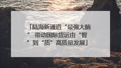 陆海新通道“最强大脑” 带动国际货运由“智”到“质”高质量发展
