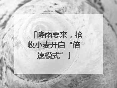 降雨要来，抢收小麦开启“倍速模式”