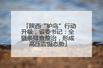 陕西“护鸟”行动升级，省委书记：全链条排查整治，形成高压震慑态势