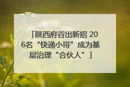 陕西府谷出新招 206名“快递小哥”成为基层治理“合伙人”