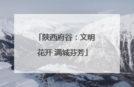 陕西府谷：文明花开 满城芬芳