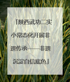 陕西武功二实小常态化开展非遗传承——非遗沉淀自信底色