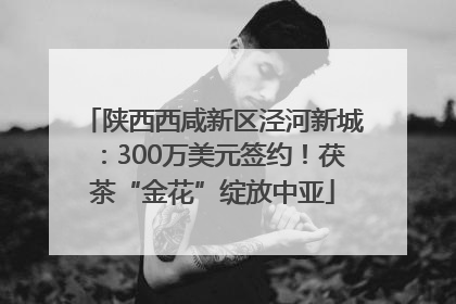陕西西咸新区泾河新城：300万美元签约！茯茶“金花”绽放中亚