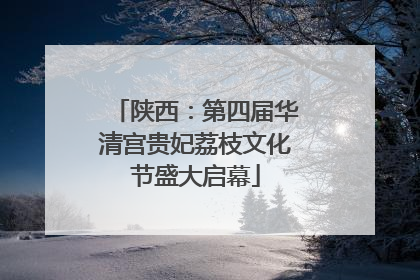 陕西：第四届华清宫贵妃荔枝文化节盛大启幕