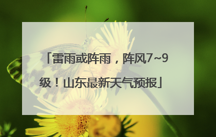 雷雨或阵雨，阵风7~9级！山东最新天气预报