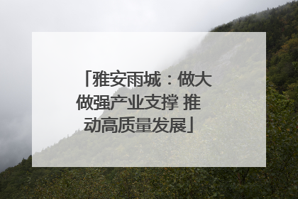 雅安雨城：做大做强产业支撑 推动高质量发展