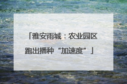 雅安雨城：农业园区跑出播种“加速度”