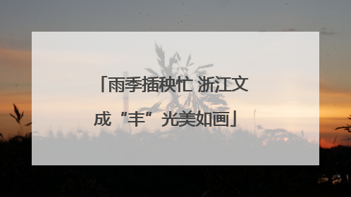 雨季插秧忙 浙江文成“丰”光美如画