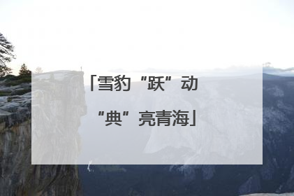 雪豹“跃”动 “典”亮青海