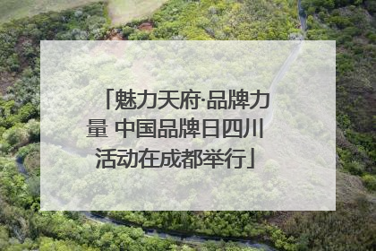 魅力天府·品牌力量 中国品牌日四川活动在成都举行