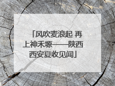 风吹麦浪起 再上神禾塬——陕西西安夏收见闻