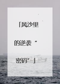风沙里的逆袭“密码”
