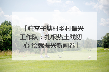 驻李子塘村乡村振兴工作队：扎根热土践初心 绘就振兴新画卷