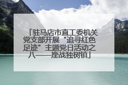 驻马店市直工委机关党支部开展“追寻红色足迹”主题党日活动之八——鏖战独树镇