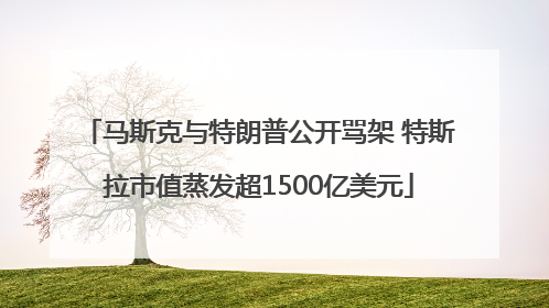 马斯克与特朗普公开骂架 特斯拉市值蒸发超1500亿美元
